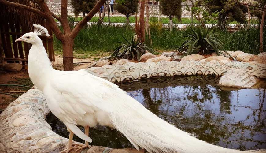 مجموعه گردشگری باغ آهو