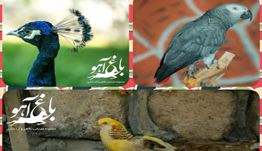 مجموعه گردشگری باغ آهو