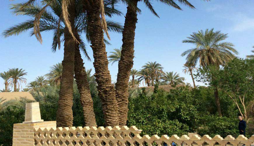 هتل سنتی باغ تیتو