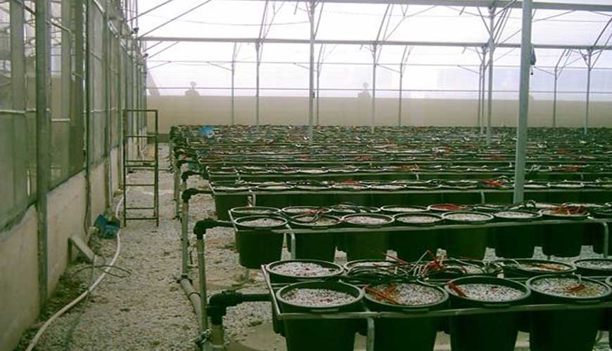 Kesht Avaran Yazd Company
