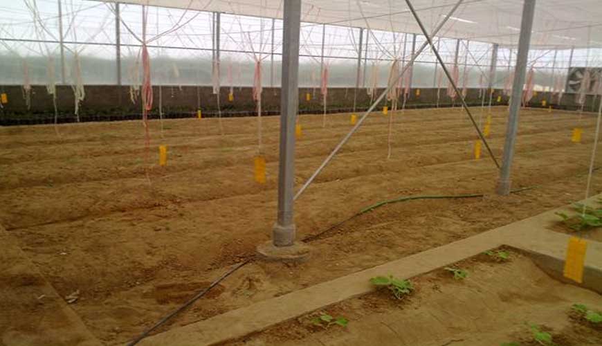 Kesht Avaran Yazd Company
