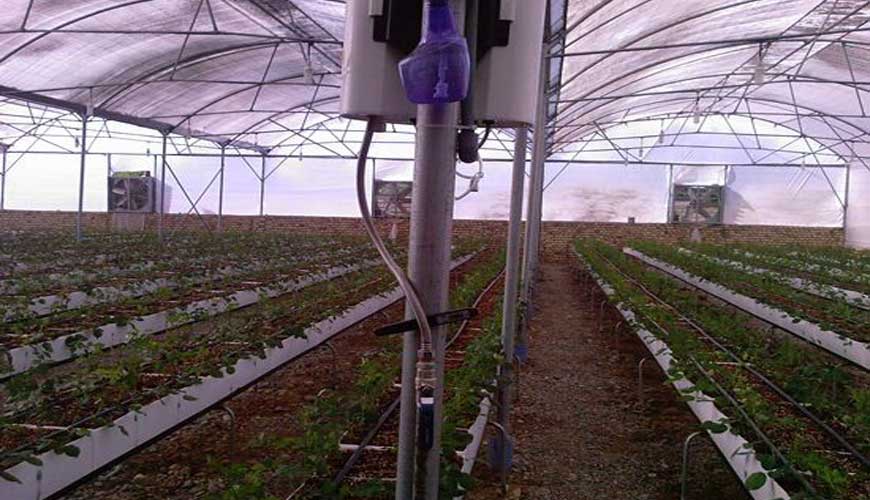 Kesht Avaran Yazd Company