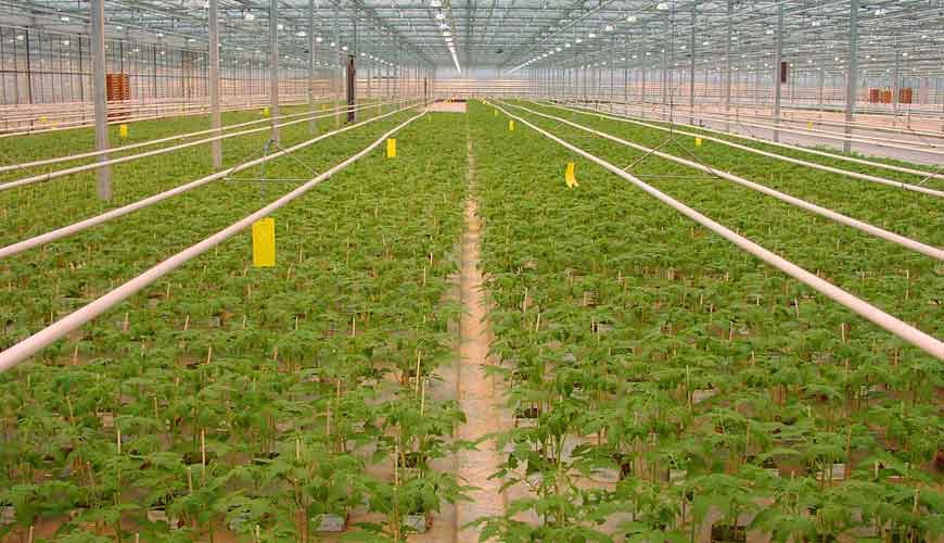 Kesht Avaran Yazd Company