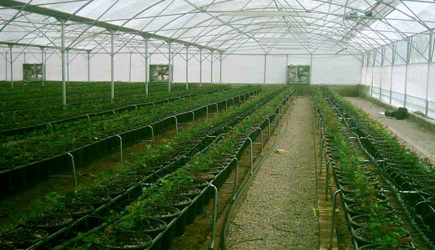 Kesht Avaran Yazd Company