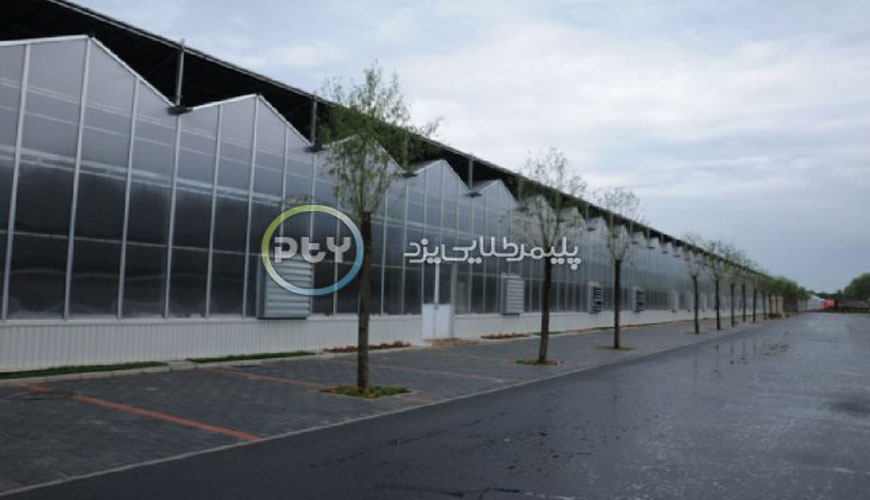 Yazd Golden Polymer Company