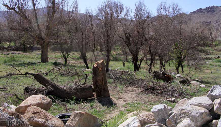 روستای سانیج تفت